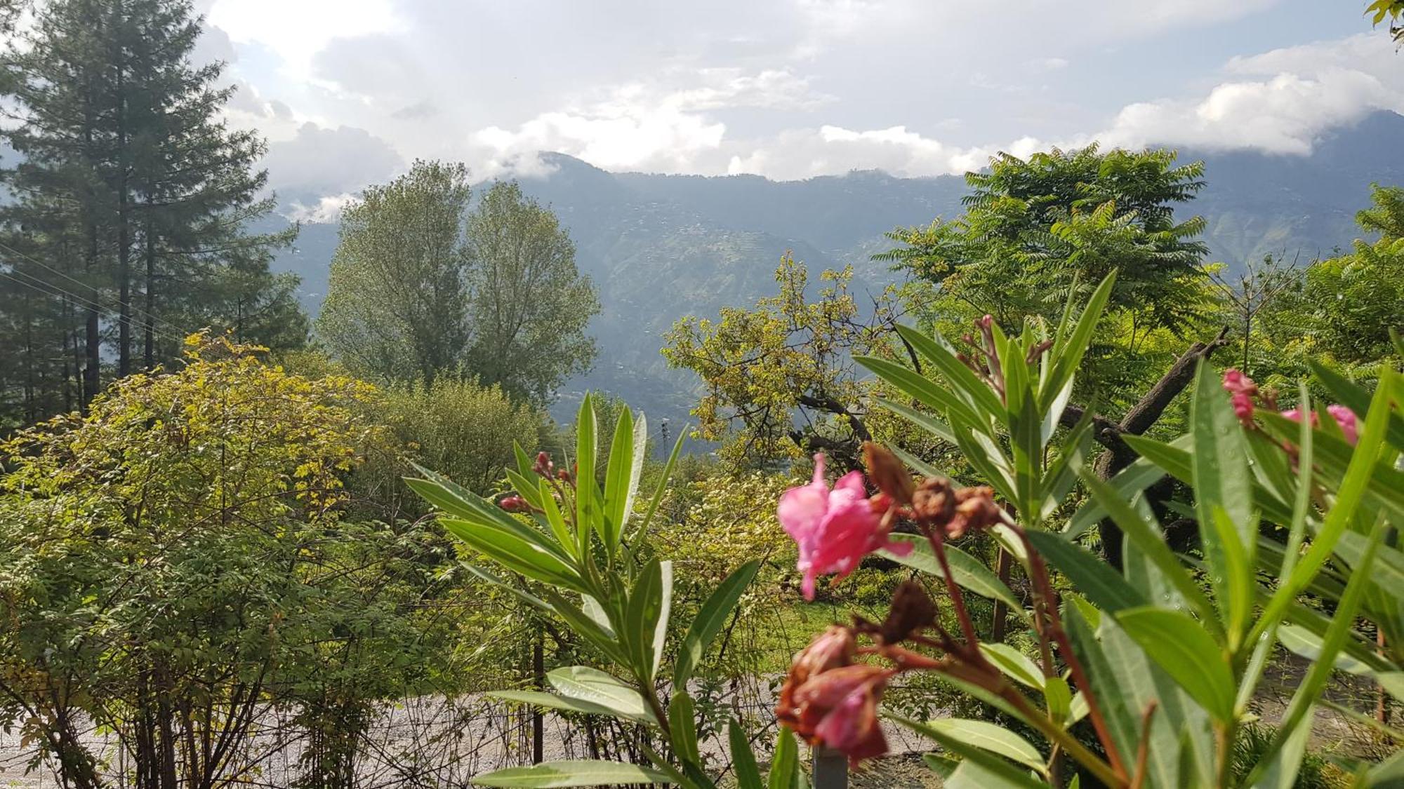 Bhurban Valley Cottages 3 المظهر الخارجي الصورة